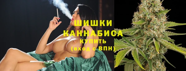 Альфа ПВП Лабытнанги