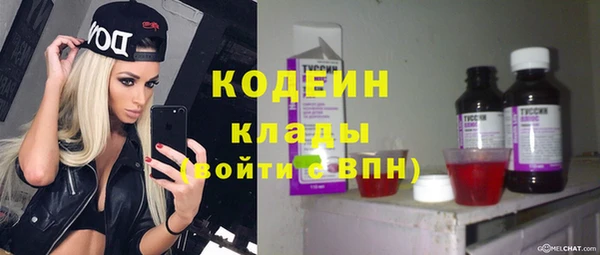 прущий лед Лагань