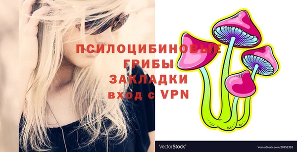 прущий лед Лагань