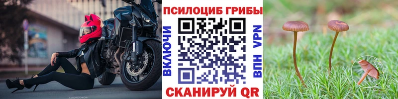 Галлюциногенные грибы мухоморы  Фрязино 
