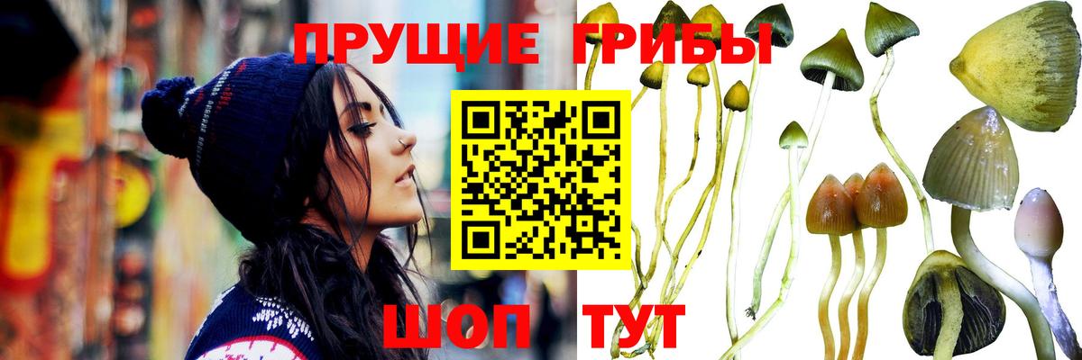 Фрязино  Галлюциногенные грибы мухоморы  Вход с VPN 